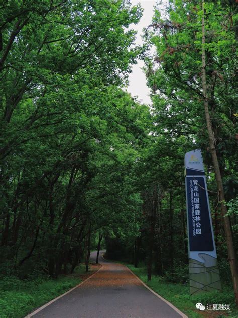 青龙山|江夏区青龙山国家森林公园攻略,青龙山国家森林公园。